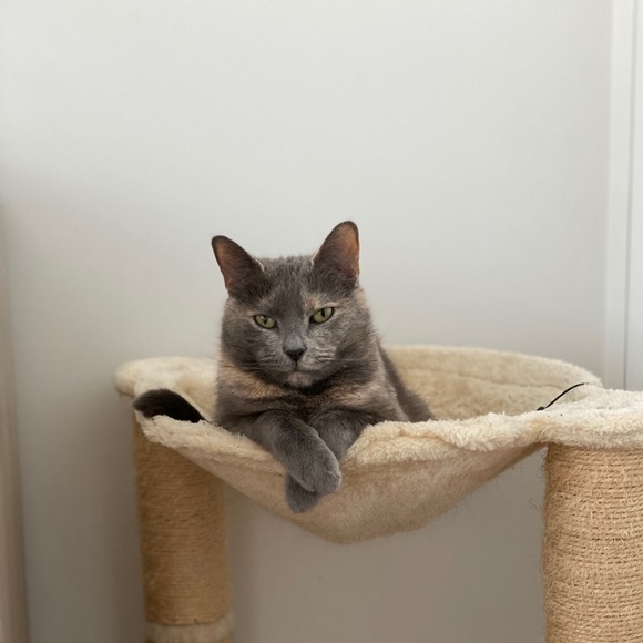 Meet your Posher, Steven - Picture 1 of 1